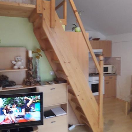 Sirovnik Apartment เบกุนเย นา โกเรนิสเคม ภายนอก รูปภาพ